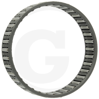 Adatinis guolis Agria 02628