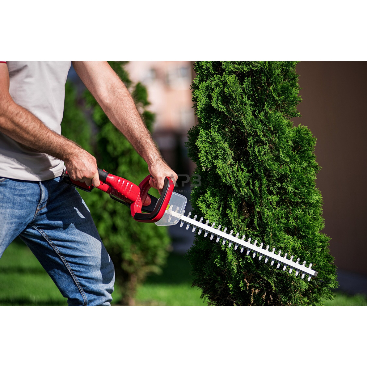 Akumuliatorinės gyvatvorių žirklės 20V LI-ION 8 Akumuliatorinės gyvatvorių žirklės 20V LI-ION 8