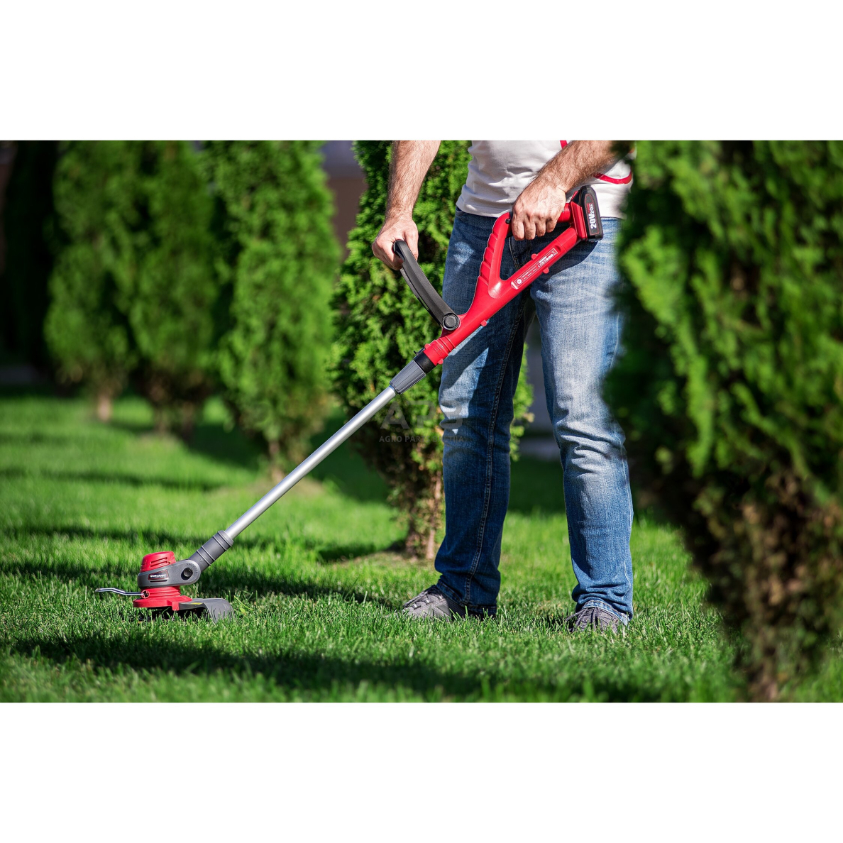 Akumuliatorinis trimeris su priedais 20V LI-ION 10 Akumuliatorinis trimeris su priedais 20V LI-ION 10