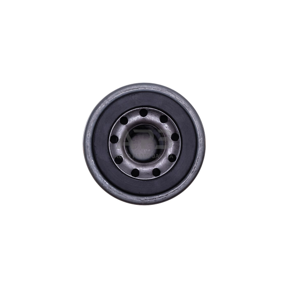 Alyvos filtras Briggs & Stratton serija 800E, 850EX, 875EX 59,00 x 51,60 mm, centrinė skylė 19,00 mm 795590, 792615B, 798319, MIA11787 2