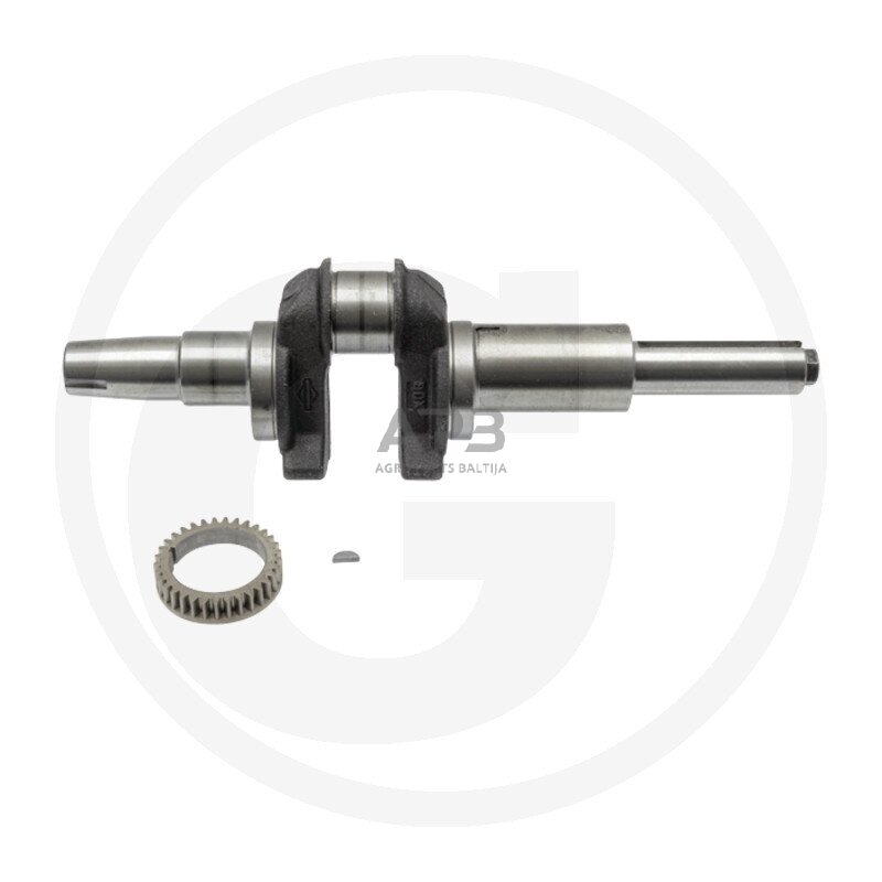 Alkūninis velenas Briggs & Stratton 697390, 212900, 214900, 215800, 215900, 216900, 217800, 217900, 219800, 219900, 21A800, 21A900, 21B800, 21B900 Alkūninis velenas Briggs & Stratton 697390, 212900, 214900, 215800, 215900, 216900, 217800, 217900, 219800, 219900, 21A800, 21A900, 21B800, 21B900