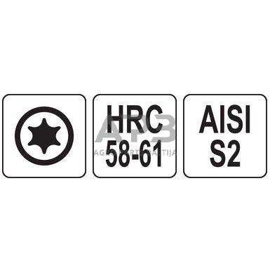 Antgalis TORX 1/4" (6.3mm), T25 x25mmL 10vnt. 2 Antgalis TORX 1/4" (6.3mm), T25 x25mmL 10vnt. 2