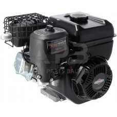 Benzininis variklis Briggs & Stratton 1062320272F1