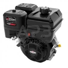 Benzininis variklis Briggs & Stratton 210 25T2320120H5