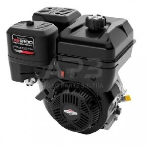 Benzininis variklis Briggs & Stratton 210 25T2320120H5