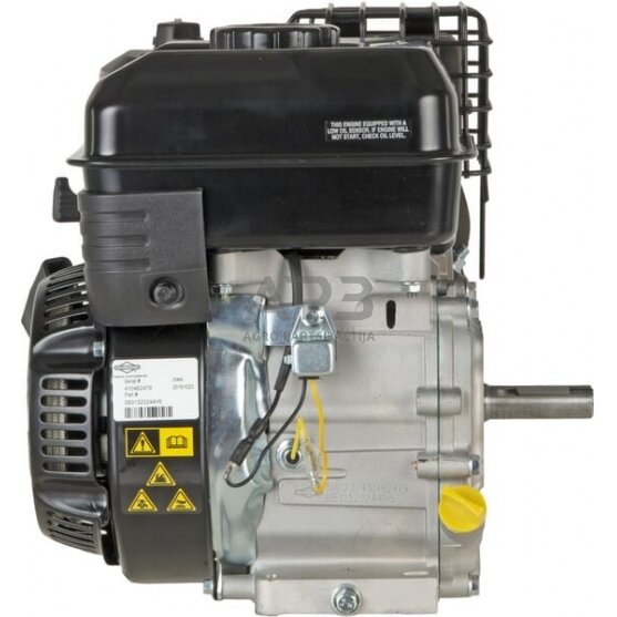 Benzininis variklis Briggs & Stratton 55 0831320011F1 1 Benzininis variklis Briggs & Stratton 55 0831320011F1 1