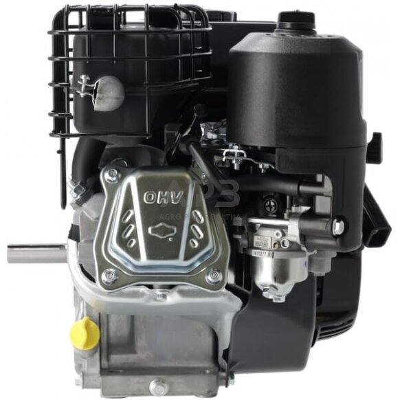 Benzininis variklis Briggs & Stratton 1062320272F1 5 Benzininis variklis Briggs & Stratton 1062320272F1 5