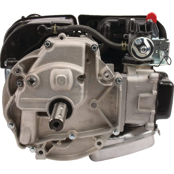 Benzininis variklis Briggs & Stratton 750 EX series 1006025025H5 4 Benzininis variklis Briggs & Stratton 750 EX series 1006025025H5 4