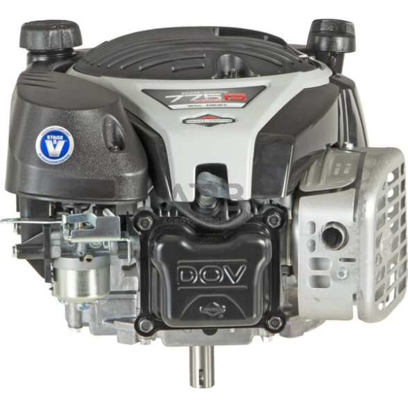 Benzininis variklis Briggs & Stratton 775 EX iS series 1006050039H5 2 Benzininis variklis Briggs & Stratton 775 EX iS series 1006050039H5 2