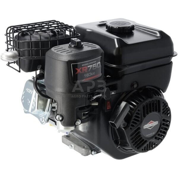 Benzininis variklis Briggs & Stratton 1062320272F1 Benzininis variklis Briggs & Stratton 1062320272F1