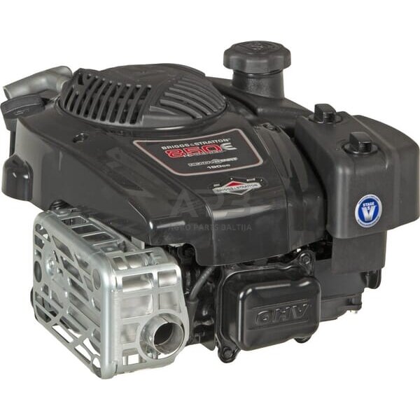 Benzininis variklis Briggs & Stratton 850E series 123P020004H5