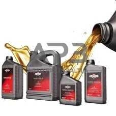 Briggs & Stratton tepalas