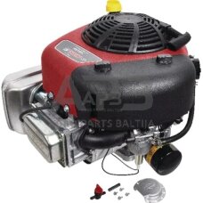 Briggs & Stratton varikliai