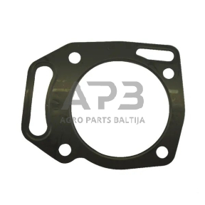 Cilindro galvutės tarpinė Briggs & Stratton 805653S