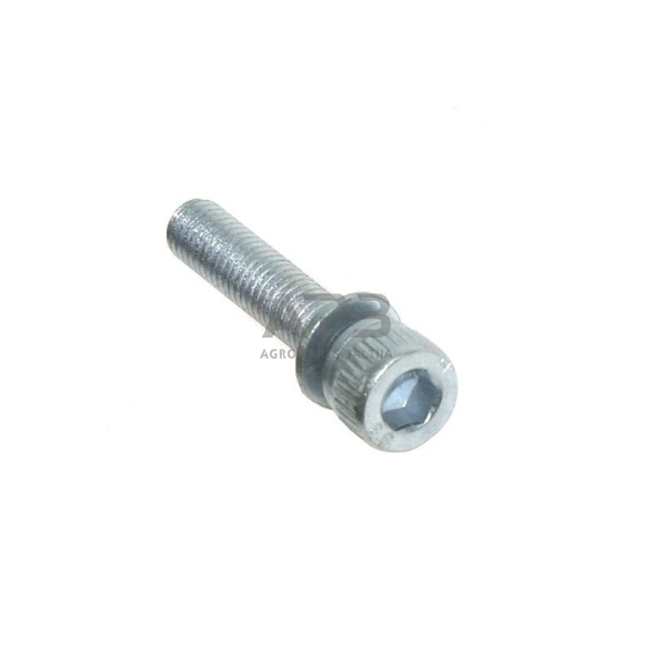 Cilindro varžtas Husqvarna 503 21 74-25, 5032174-25, 503217425