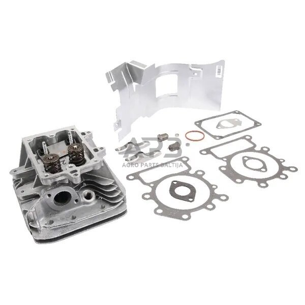 Cilindro galva Briggs & Stratton 796026, 698148 1