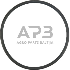 Dalis AGCO X548941966000 O žiedas