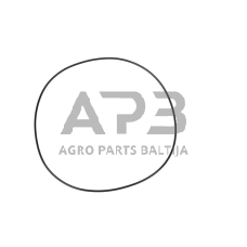 Dalis Carraro CI028579 O žiedas 253,59x3,53 mm