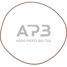 Dalis Case-IH technikai 14469481 O žiedas