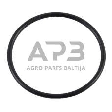 Dalis CNH 14458180 Sandarinimo žiedas