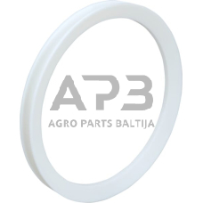Dalis Dana 001113340N Žiedas
