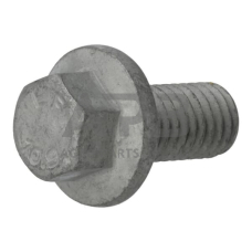 Dalis DEUTZ-FAHR technikai 01181436 Šešiakampis varžtas