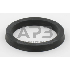 Dalis Ford technikai 81718816N V- Seal FORD