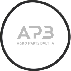 Dalis Landini technikai 3673222M1 Žiedas