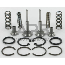 Dalis Massey Ferguson technikai 1810678M91GP remonto komplektas