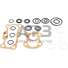 Dalis Massey Ferguson technikai 1810680M92GP remonto komplektas