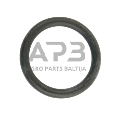 Dalis MTZ (Belarus) technikai 0200253014N Ring MTZ (Belarus)