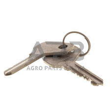 Dalis SDF 274390132 Raktas