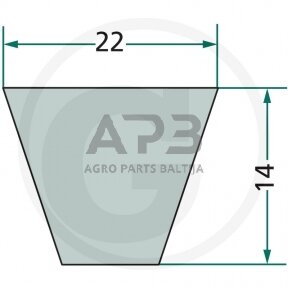 Dantytas diržas C173 22x4394mm Li, 22x4482mm La