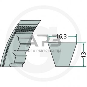 Dantytas diržas XPB 16,3x2590mm Li, 16,3x2672mm La