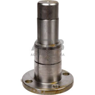 Dalis Carraro CI141903 Kaištis Carraro Dalis Carraro CI141903 Kaištis Carraro