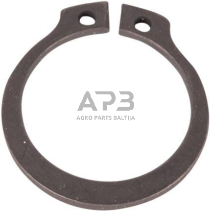 Dalis Goldoni technikai 06240051 Seeger 25x2 Dalis Goldoni technikai 06240051 Seeger 25x2