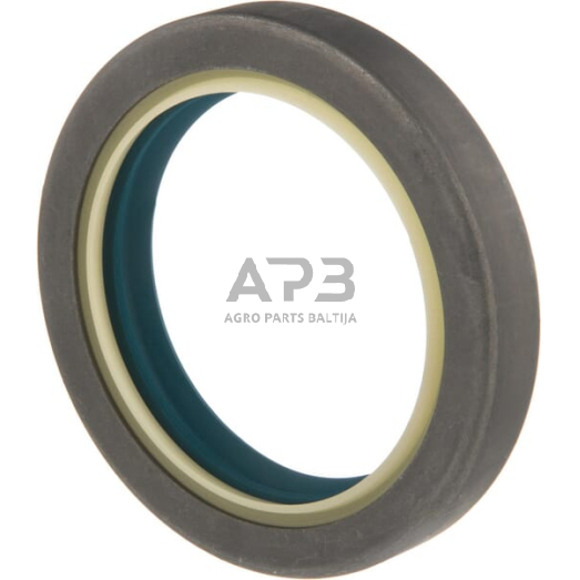 Dalis AGCO X550139701000 Antspaudas