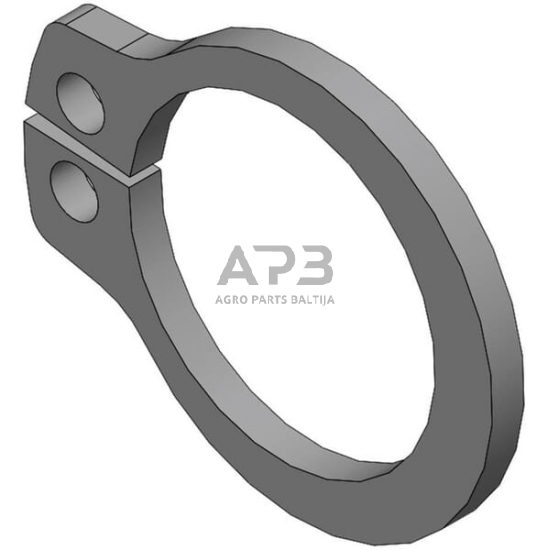 Dalis Scharmüller 20151169 Žiedas A10 1 Dalis Scharmüller 20151169 Žiedas A10 1