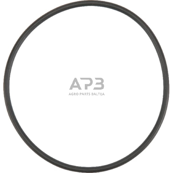 Dalis AGCO X548953166000 O žiedas