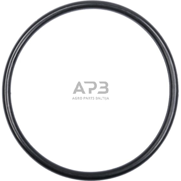 Dalis Landini technikai 394868X1 žiedas Dalis Landini technikai 394868X1 žiedas