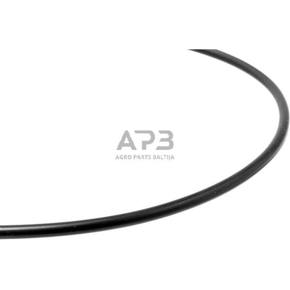 Dalis Carraro CI028628 O žiedas 2 Dalis Carraro CI028628 O žiedas 2