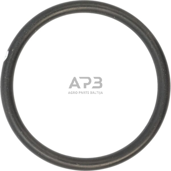 Dalis CNH 218774 Žiedas 1