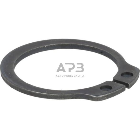 Dalis DEUTZ-FAHR technikai 01107731 Apskritimas