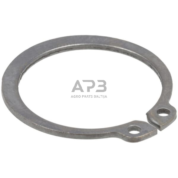 Dalis DEUTZ-FAHR technikai 01107737 Apskritimas