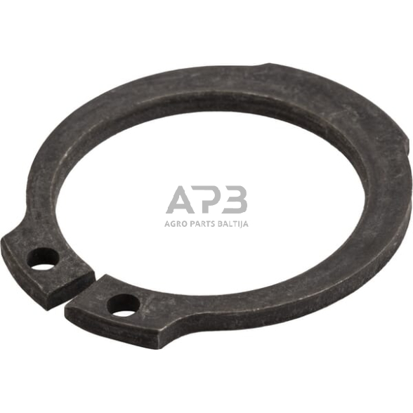 Dalis DEUTZ-FAHR technikai 01133010D žiedas
