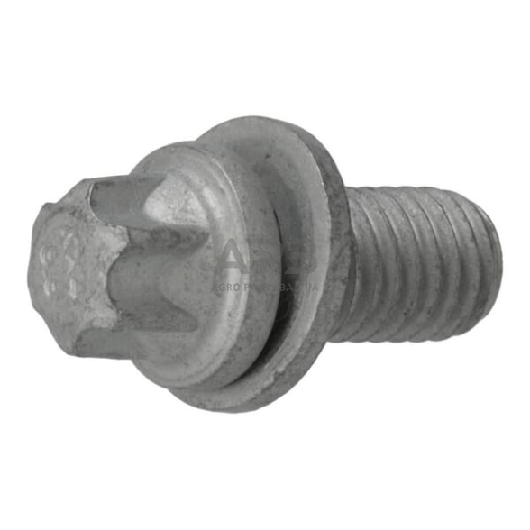 Dalis DEUTZ-FAHR technikai 01181420 Torx galvos varžtas Dalis DEUTZ-FAHR technikai 01181420 Torx galvos varžtas