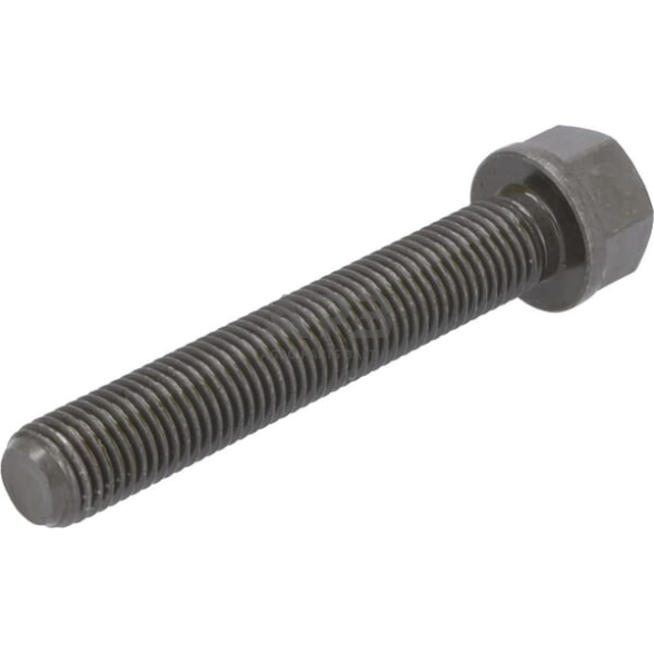 Dalis DEUTZ-FAHR technikai 04200468 Didelio galo varžtas 1 Dalis DEUTZ-FAHR technikai 04200468 Didelio galo varžtas 1