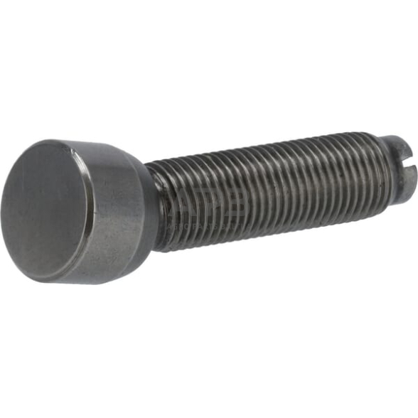 Dalis DEUTZ-FAHR technikai 04225931 Reguliavimo varžtas Dalis DEUTZ-FAHR technikai 04225931 Reguliavimo varžtas