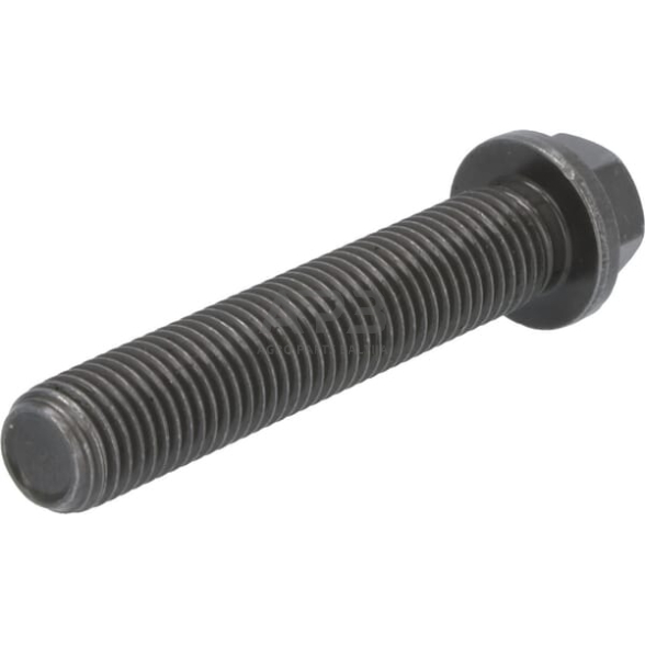 Dalis DEUTZ-FAHR technikai 04234117 Šešiakampis varžtas 1 Dalis DEUTZ-FAHR technikai 04234117 Šešiakampis varžtas 1