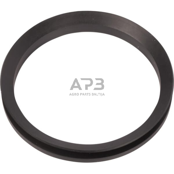 Dalis Landini technikai 3019970X1 Tepalinis sandariklis Dalis Landini technikai 3019970X1 Tepalinis sandariklis